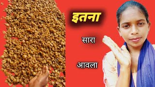 Amla candy amla trending vairalvideo trendingshammy achar acharrecipe [upl. by Lanod]