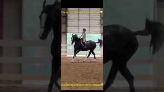 Cantering without ironsstirrups🤩🤩🤩 horse horsebackriding equestrian love haveagoodday [upl. by Danczyk627]