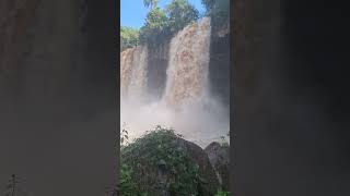 cataratas de iguazu [upl. by Johst]