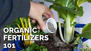 14 Organic Fertilizers and How to Use Them [upl. by Noreik596]