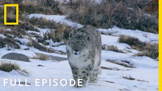 Mountains Full Episode  Hostile Planet [upl. by Gulick]