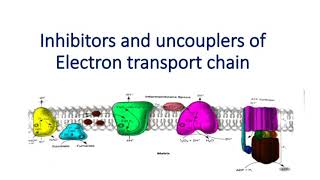 Electron Transport Chain ETC  Biological Oxidation  NEET PG Biochemistry  Dr Amit [upl. by Annairba]