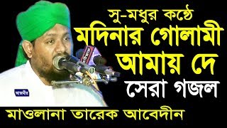 মদিনার গোলামী আমায় দে  Mawlana Tareq Abedin  Beautiful Naat  Islami Gojol  2018 [upl. by Hnid722]