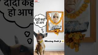 We All Miss You Dadi ji 😭  minivlog [upl. by Lerej]