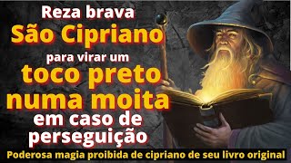 REZA BRAVA DE SÃO CIPRIANO PARA VIRAR UM TOCO PRETO NUMA MOITA  O poder real da invisibilidade [upl. by Flita]