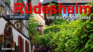 Rüdesheim und die Drosselgasse [upl. by Ynottirb]