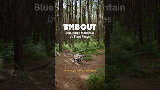 Fleet Foxes  Blue Ridge Mountain Cover by OAC BMBOUT BBQMountainBoys [upl. by Irtimd]