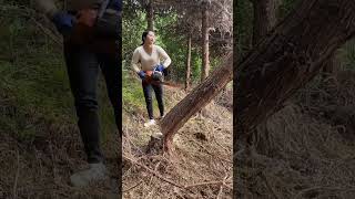 accidentally cut a treechainsaws hardware tools viralvideo foryou [upl. by Guenzi]