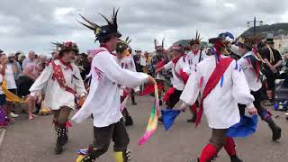 Sidmouth Folk Festival Eynsham Morris Esplanade 4824 [upl. by Llednov]