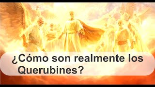 ¡Así Son REALMENTE los Querubines La Verdadera Descripción en la Biblia [upl. by Nhabois]