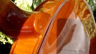 Possibly Vintage STENTOR Violin For Restoration  Spare or Repair See Video [upl. by Ellswerth]