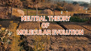 NEUTRAL THEORY  MOLECULAR EVOLUTION  KIMURA [upl. by Orit604]