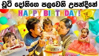 චූටි දෝනිගෙ පලවෙනි උපන්දිනේ 🎂🎉  Baby Elba’s 1st Birthday  Binario 12 [upl. by Anahtor]