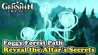 Reveal the Altars Secrets in Foggy Forest Path Quest Guide Genshin Impact 42 [upl. by Perce]