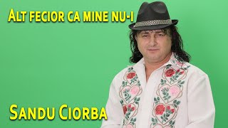 Sandu Ciorba  Alt fecior ca mine nui [upl. by Molli]