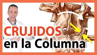 🛑CHASQUIDOS en la Columna  🤔 Qué son PORQUÉ SE PRODUCEN los crujidos Yoga Terapéutico  CURIOSO [upl. by Leizar769]