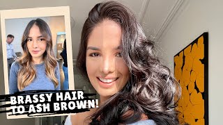 Hair Tutorial  Learn How To Dye Your Hair At Home Ash Brown  Tips Ive Learned  Desiree Perez [upl. by Atikram298]