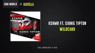 KSHMR ft Sidnie Tipton  Wildcard Studio Acapella [upl. by Rochkind]