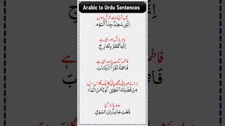 Daily use Arabic sentences Arabic to Urdu sentences shorts Arabic spokenarabic [upl. by Sirromed]