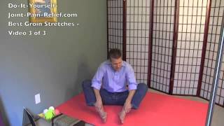 Best Groin Stretches  Video 3 of 3 [upl. by Sibby]