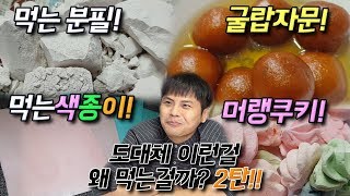 도대체 이런걸 무슨맛에 먹는걸까 2편 먹는분필 먹는색종이 굴랍자문 머랭쿠키 리뷰 제이제이 [upl. by Rovit147]