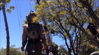 Giants Festival Parade  Perth [upl. by Acinoj]