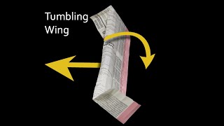 Tumbling Wing [upl. by Pihc]