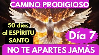 DIA 7🔥❤️🔥 CAMINO PRODIGIOSO 50 días con el ESPÍRITU SANTO 🙏para que NO se APARTE DE TI JAMÁS 🔥 [upl. by Ferren]