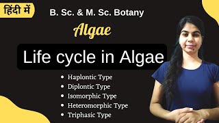 TYPES OF LIFECYCLE IN ALGAE  in Hindi  Botany  B Sc amp M Sc [upl. by Kuska511]