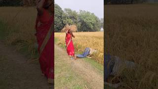 Anita Rajendrashorts shortsvideo shortsfeed youtubeshorts [upl. by Oicul]