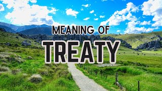 What is the meaning of Treaty [upl. by Eldwun251]