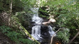 Hiking the Ricketts Glen Waterfalls PA  Nepali Vlog in USA [upl. by Amaty]