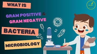 “Difference between Gram Postive and Gram Negative bacteria” [upl. by Ayerim]