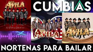 Los Avila Mix Exitos 🎵 Puros Huapangos Mix 2024 📀 Las Mejores Canciones [upl. by Yelena29]