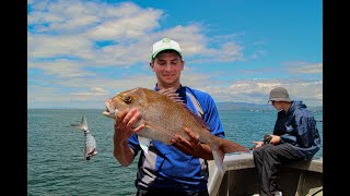 Fishing NZ How to Fish Coromandel Mussel Farms [upl. by Nona931]