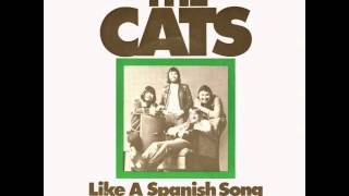 The Cats  Like A Spanish Song [upl. by Eri]