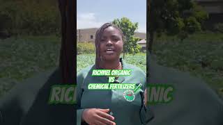 Richyiel fertilizer vs Chemical Fertilizer… sustainablefarming agriculture [upl. by Doti40]