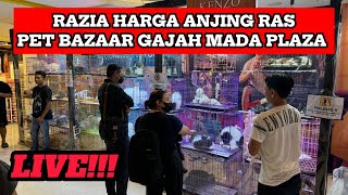 Razia Harga Anjing Di Gajah Mada Plaza [upl. by Nwotna]