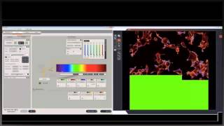 Basics of confocal laser scanning microscopy [upl. by Atteiram]