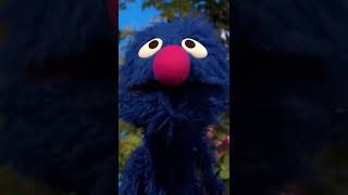 The Best of Grovers Funny Moments sesamestreet [upl. by Nosnev]