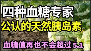 这四种食物，被血糖专家称为“天然胰岛素”、糖尿病的克星，每天换着吃，血糖值再也不会超过51！【本草养生大智慧】 [upl. by Sigismund773]