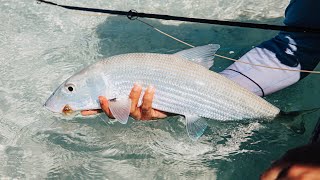 What a bonefish trip to Andros Island looks like in December [upl. by Adela]