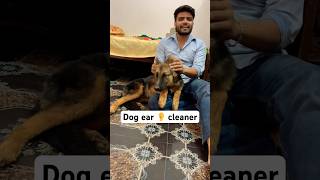 Dog Ear 👂 Cleaner Part 1  earcleaning germanshepherd dog shorts [upl. by Ssegrub]