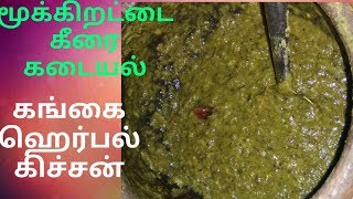 Mookirattai keerai kadaiyalBoerhaevia diffusaமூக்கிறட்டை கீரை கடையல்gangaiherbalkitchen [upl. by De]