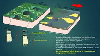 TP N° 7  Ambientes sedimentarios transicionales estuarios y deltas [upl. by Willing471]