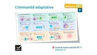 eSVT La réaction immunitaire adaptative [upl. by Gaulin]