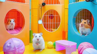 Hamster Escape the Prison Maze for Pet 🐹 Hamster Maze [upl. by Melac206]