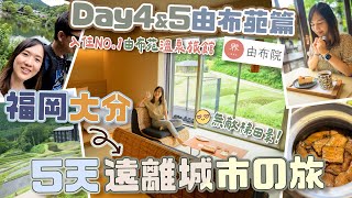 【5天福岡大分】 DAY4 由布苑美景美食推介＋不得了住宿🥹星野集團「界由布苑」梯田絕景🌿只需3000一泊兩食超值分享！！ [upl. by Gladys]