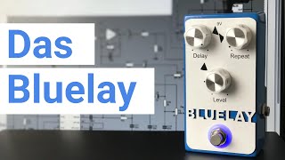 Das Bluelay  DIY Delay Pedal  Aus Bausatz selbst gebaut [upl. by Meekar]