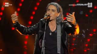 Michele Minneci  Ligabue canta quotQuesta è la mia vitaquot  Tali e Quali 27012024 [upl. by Ahselrac796]